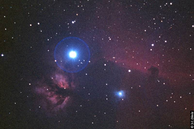 IC434 + Cabea de Cavalo