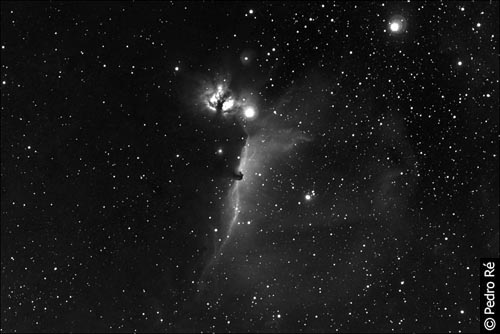 IC434 + Cabea de Cavalo