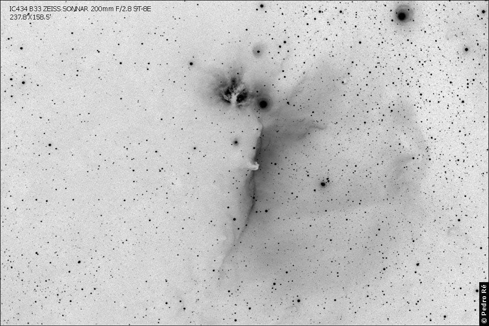 IC434 + Cabea de Cavalo