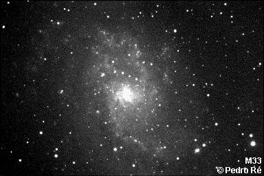 M33