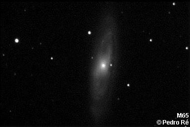 NGC3623 - M65