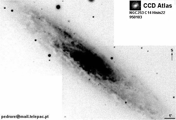 NGC253