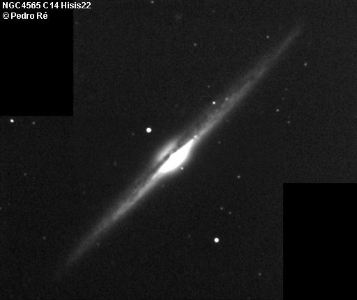 NGC4565